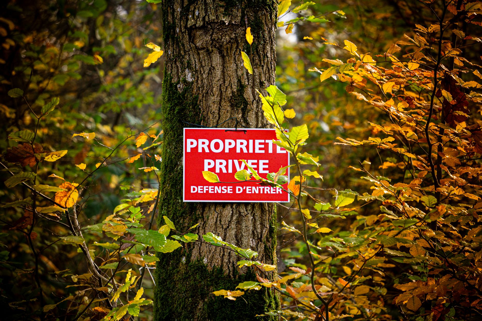 Détective privé à Beauvais